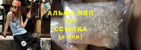 стаф Алексин