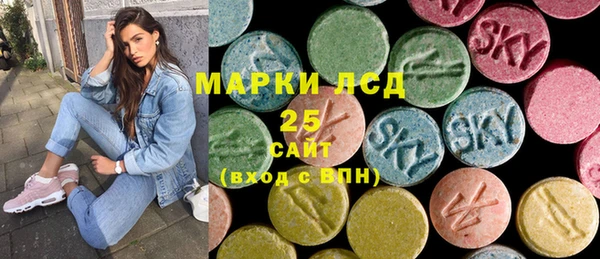 стаф Алзамай