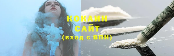 стаф Алзамай