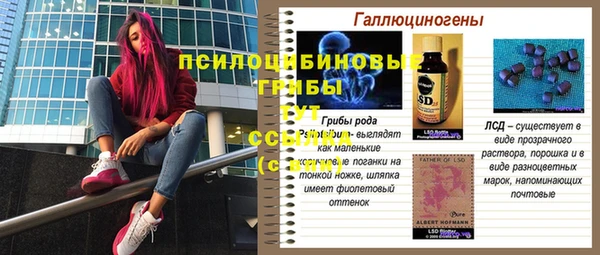 прущая мука Армянск