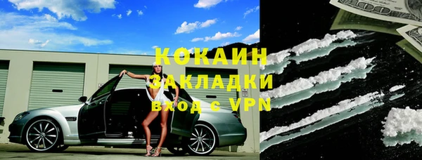 стаф Алексин