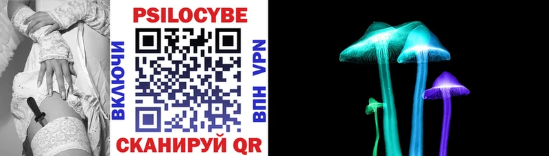 OMG ТОР  маркетплейс какой сайт  Галлюциногенные грибы Cubensis  Александров 